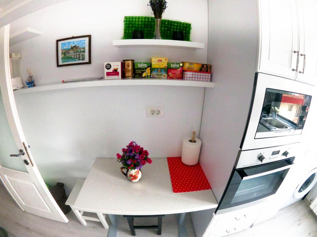 Apartament Splendid View Suczawa Zewnętrze zdjęcie